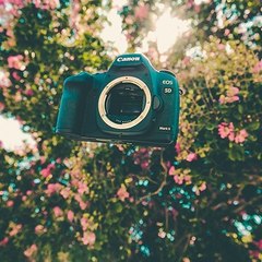 My X Videos