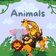 Animals