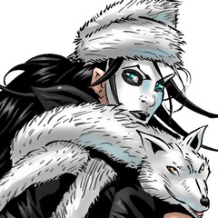 The SnowRaven Chronicles Animated Short Films