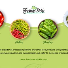 Freshara Agro Exports Ltd