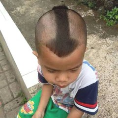Funny Videos
