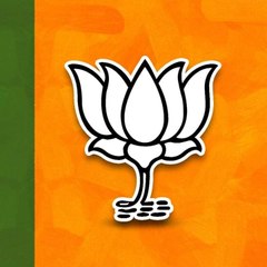 Modi supporter