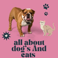 dog's And cat's