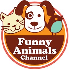 The Animals PETS