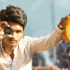 Anser Multani