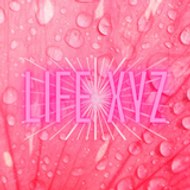 Life xyz