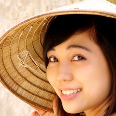 Film TVB