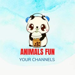 Animals Fun