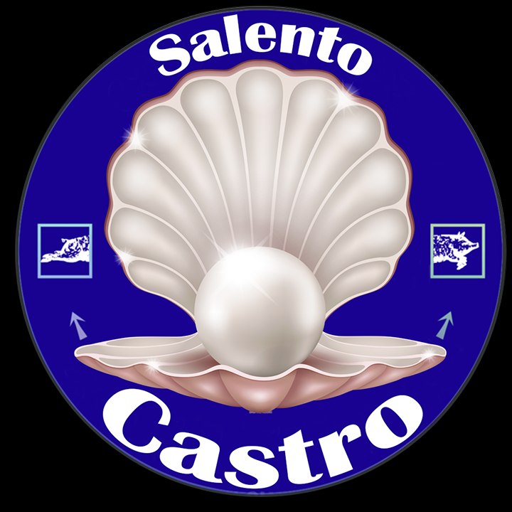 Dailymotion profile picture for @castro