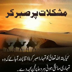 MR.RASHID