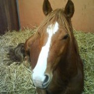 Clémence et Joséphine