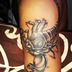 Scorpion18