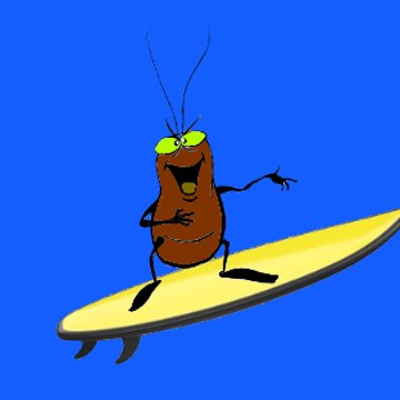 SeaFleaSurfVlog