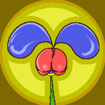 Fleur de minien
