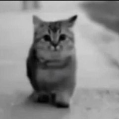 Sadettin Osmanoğulları