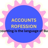 Accounts Profession