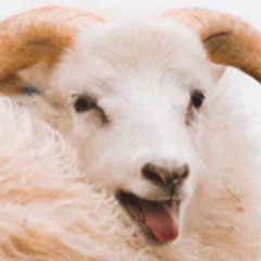 Mercymurv
