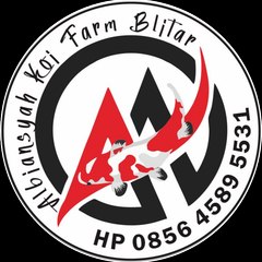 Albiansyah koi