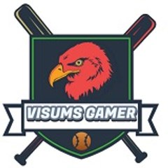 Visums Gamer