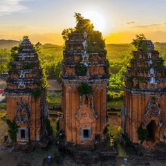 Nông Trại Nuôi Gà 2024