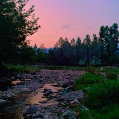 NATURE LOVER