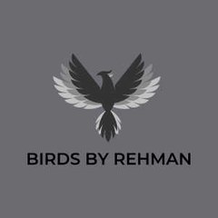 Birds by Rehman