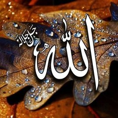 islamic video
