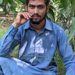 Sohail 786