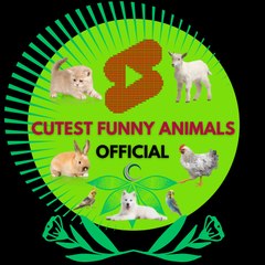 Cutest Funny Animals Official