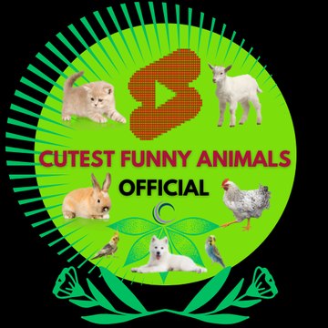 Cutest Funny Animals Official