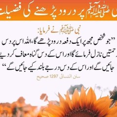 ZAIN ALI