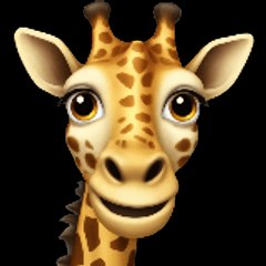 africa4you