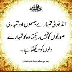 Abida Shafaat