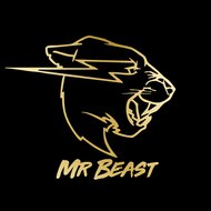 Mr beast