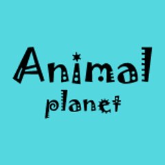 Animal Planet