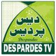 Despardes Web TV