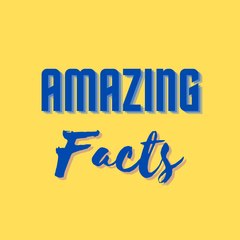 universe of amazing facts