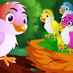 KKidsToons