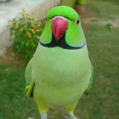 New all information very nice