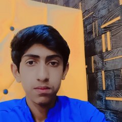 Imran Khan Lover