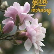 Kitchen with Khadija Nasir