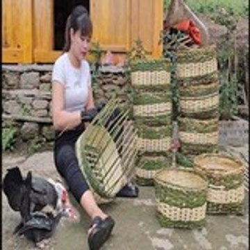 Free Bushcraft
