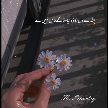 p4poetry