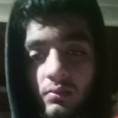 TALHA WRITER