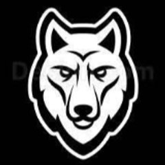 Wolf of Fitness
