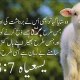farooq azam