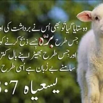 farooq azam