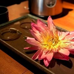 智慧幸福人生 Wise Happy Life