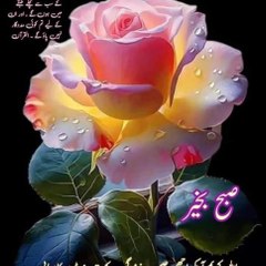 AB NEWS