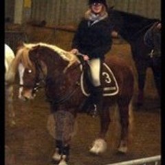 xhorsesx